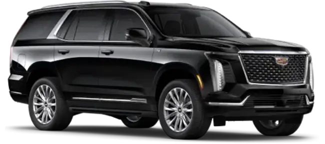 Black limo service near me